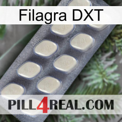 Filagra DXT 08